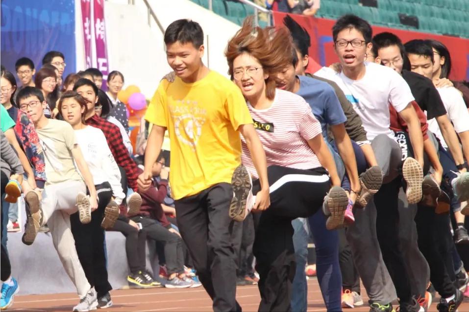 新颖团建拓展项目,趣味拓展精品团建必选地