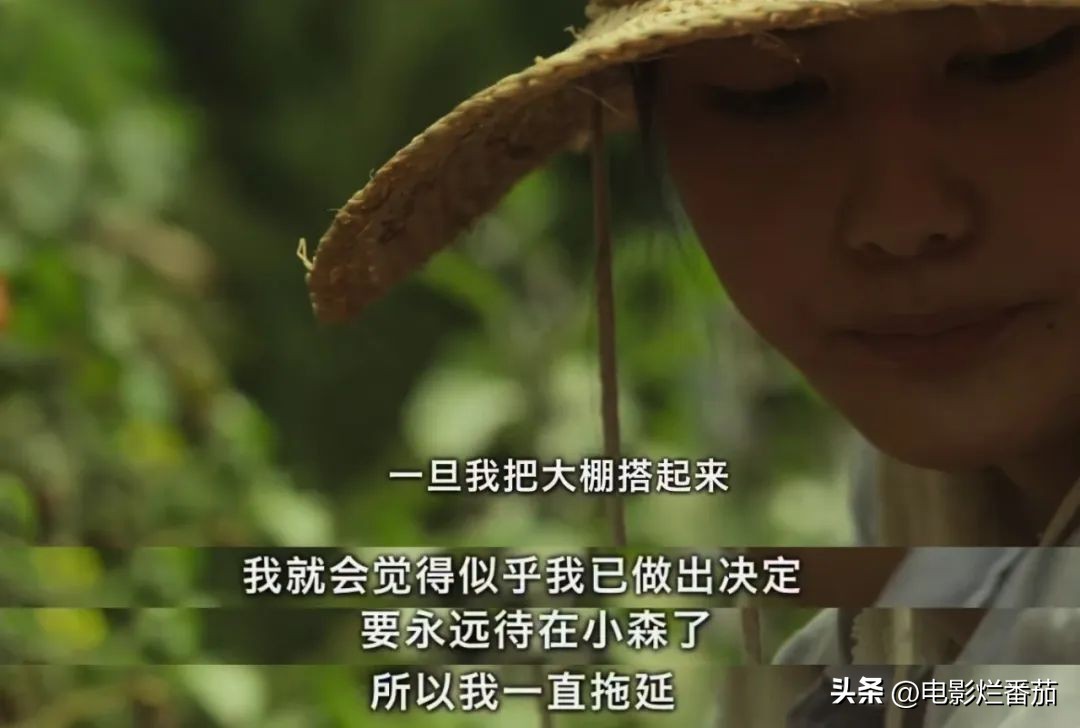 豆瓣9.0，日本乡间简素的一餐一饭，治好了无数人的“精神内耗”