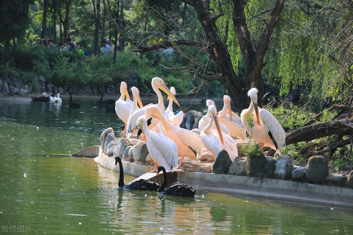 昆明安宁市十大旅游景点,昆明十大景点自驾游
