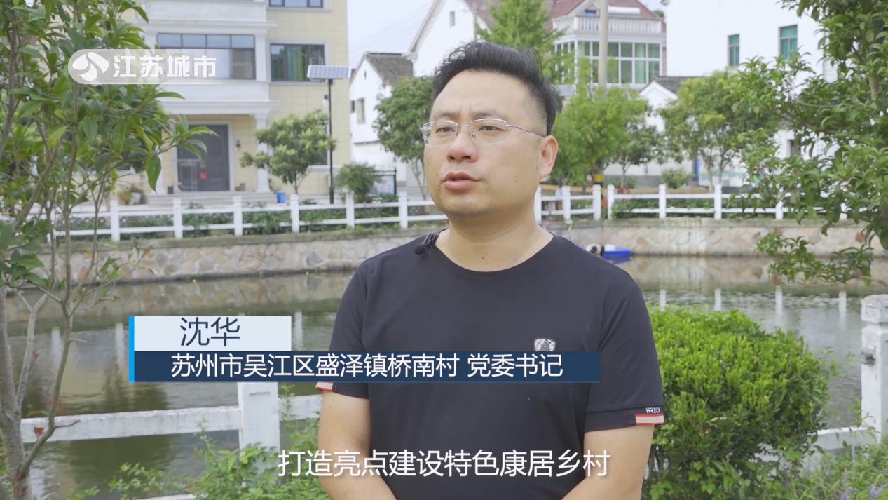 盛泽镇桥南村油菜花,盛泽镇桥南村