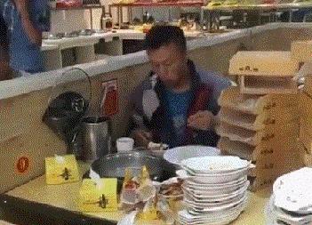 新手为什么不养鳄龟,养了一年的鳄龟怎么一点都不凶