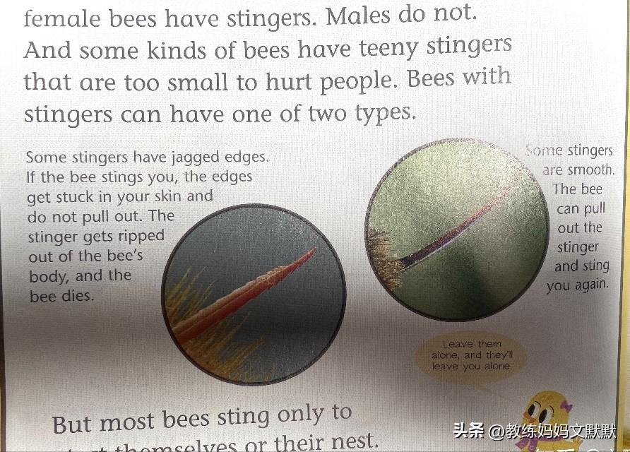 推荐订阅的儿童杂志有哪些,中国含金量高的儿童杂志推荐