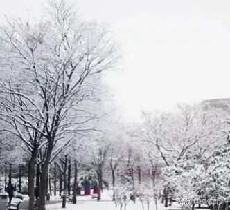 张信哲翻唱刀郎的歌完整版,张信哲翻唱刀郎的歌曲