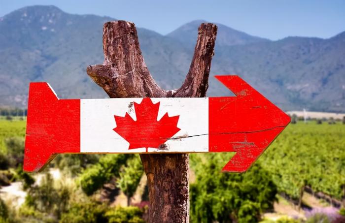 被中介忽悠到加拿大,被忽悠了什么感觉