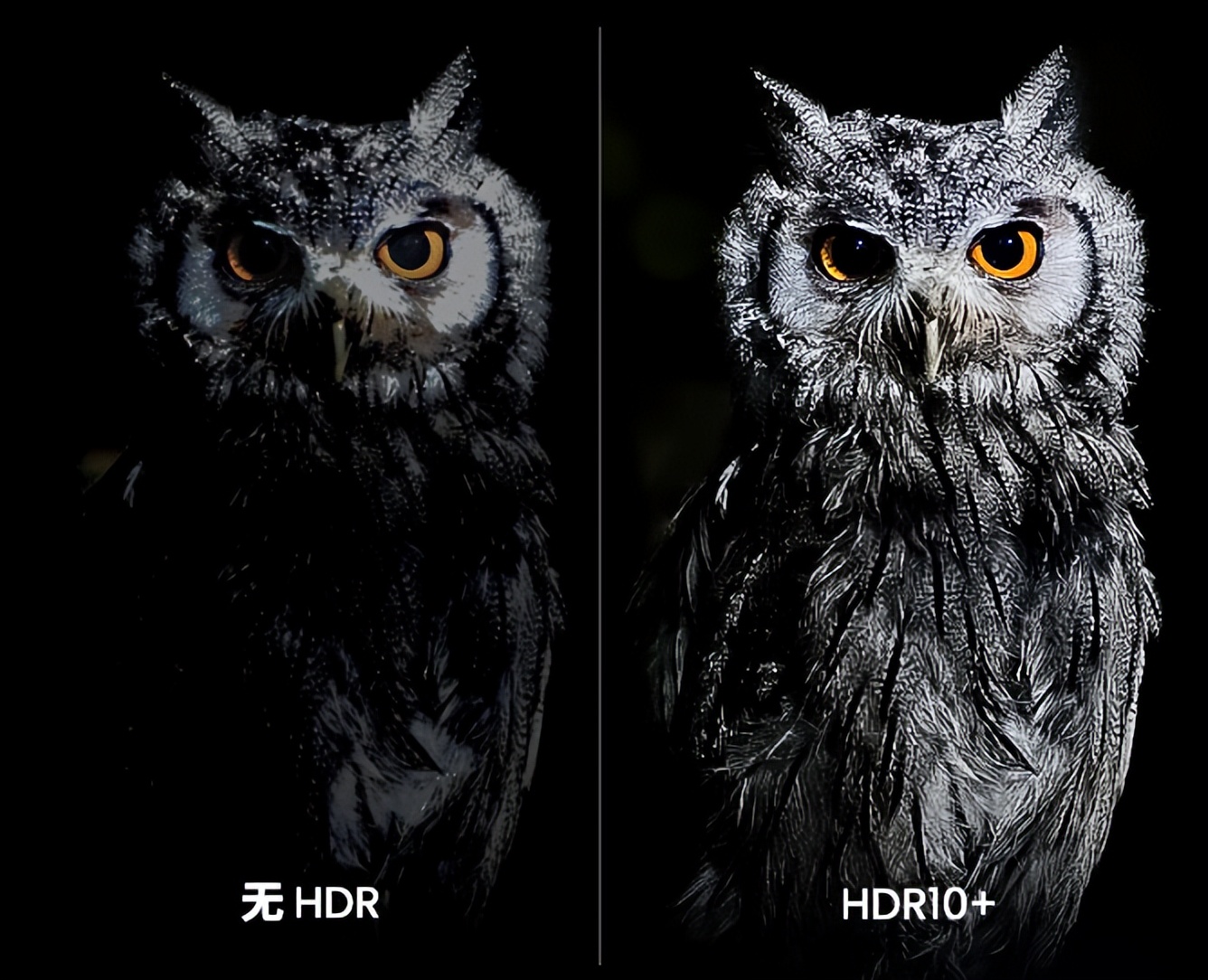 家里空间不够投影仪没法用，看看这台坚果O1S短焦投影仪