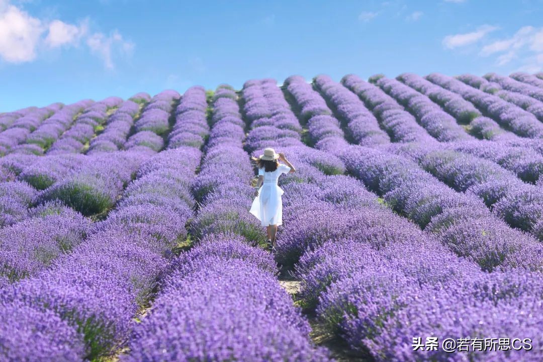 去新疆旅游的美女,去苏州旅游的女人