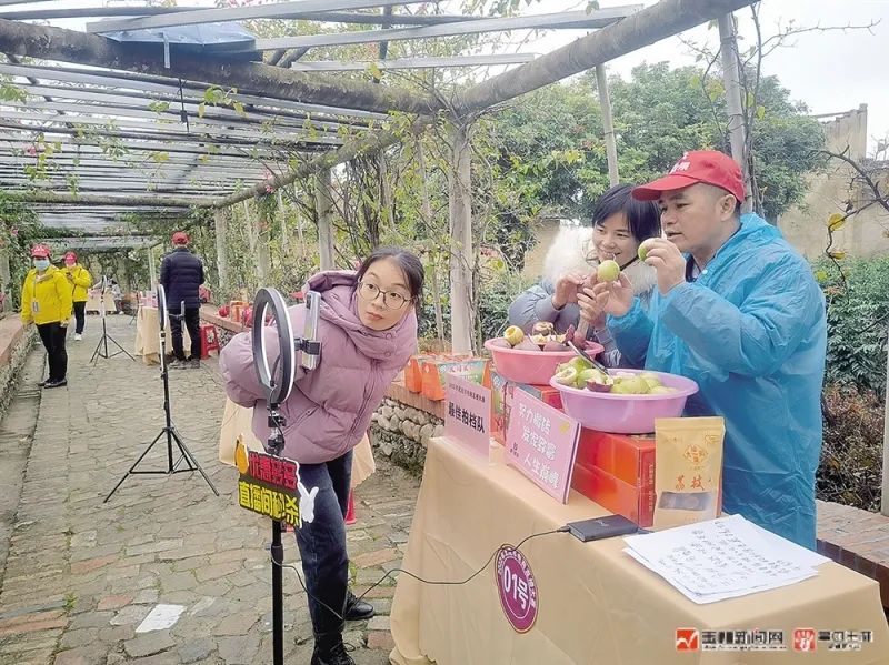 哪里卖黄金百香果,黄金百香果批发零售