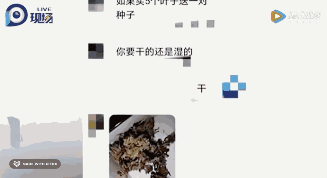 贩卖假毒品应该怎么处罚,卖假毒品被判10个月