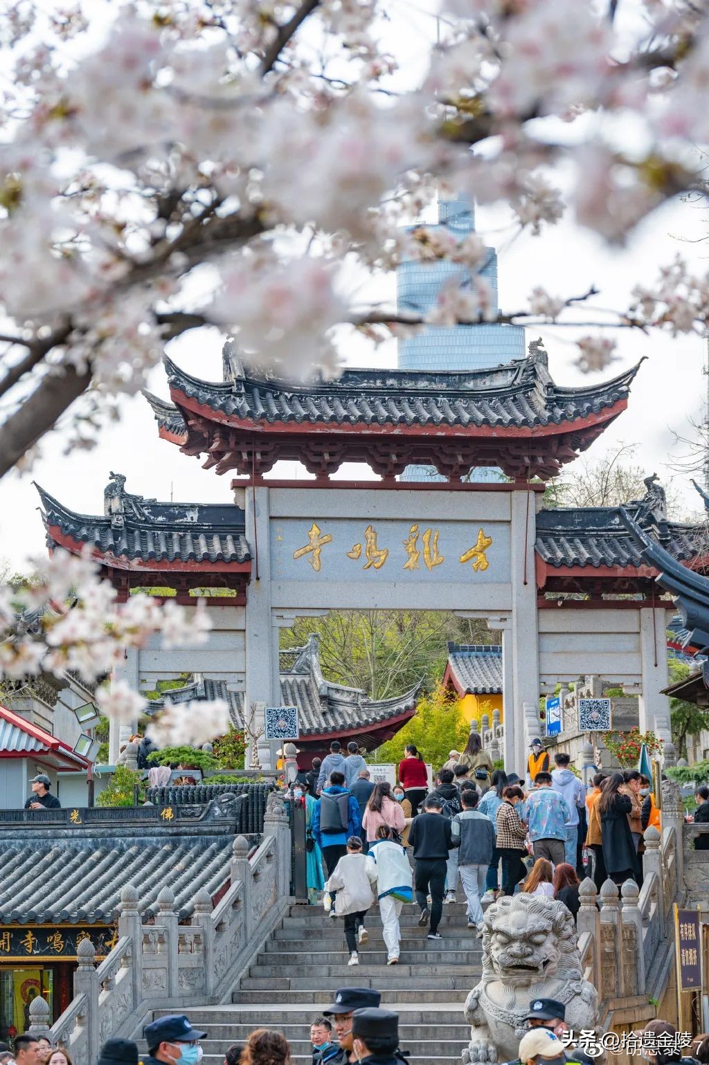 南京鸡鸣寺樱花盛开的时候,鸡鸣寺看樱花要门票吗