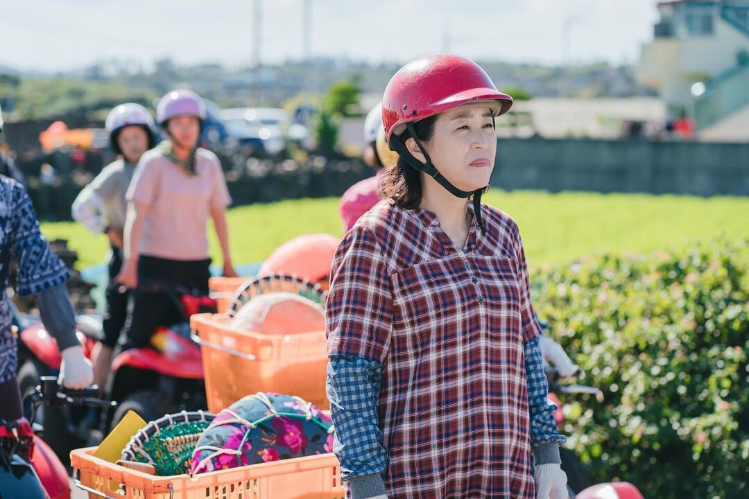 《欢迎回到三达里》海女冷知识3：济州岛的母亲