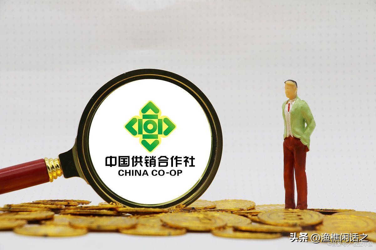 如何推进我国农村合作经济组织,当前农村经济合作社存在的问题