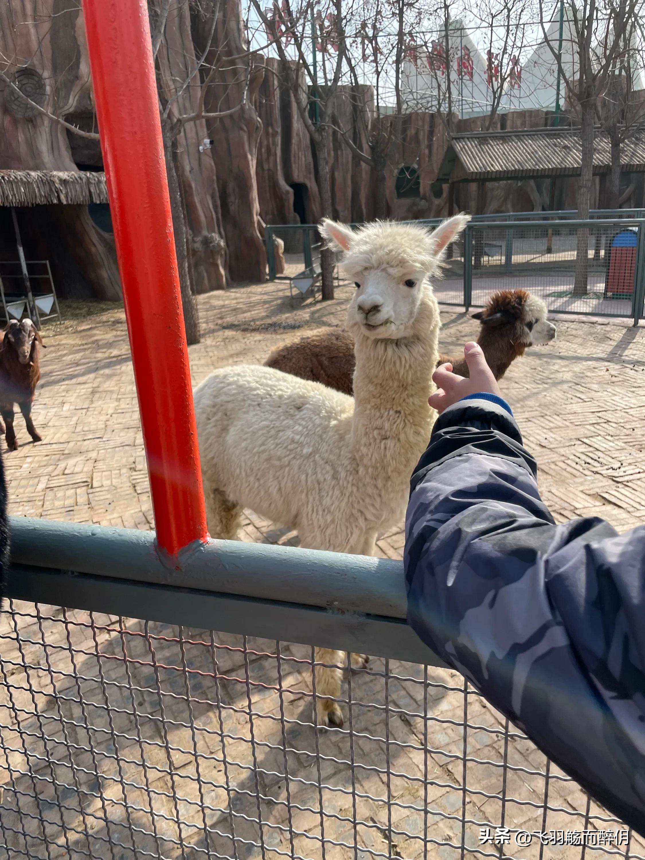 五一沧州一日游最佳攻略,沧州人五一去哪儿玩