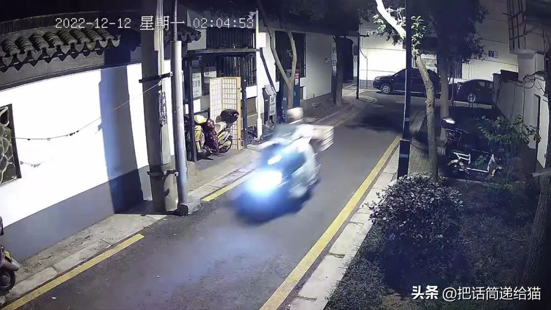 江苏偷猫事件,偷猫人被抓新闻