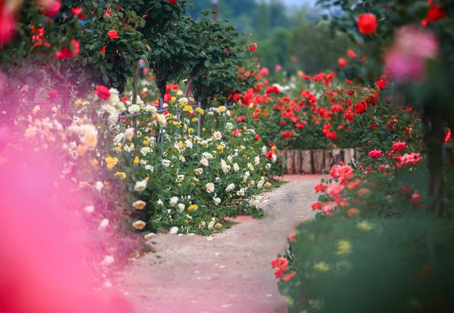 有一种朋友不在身边却在心间语录,有一种爱不在身边却在心间