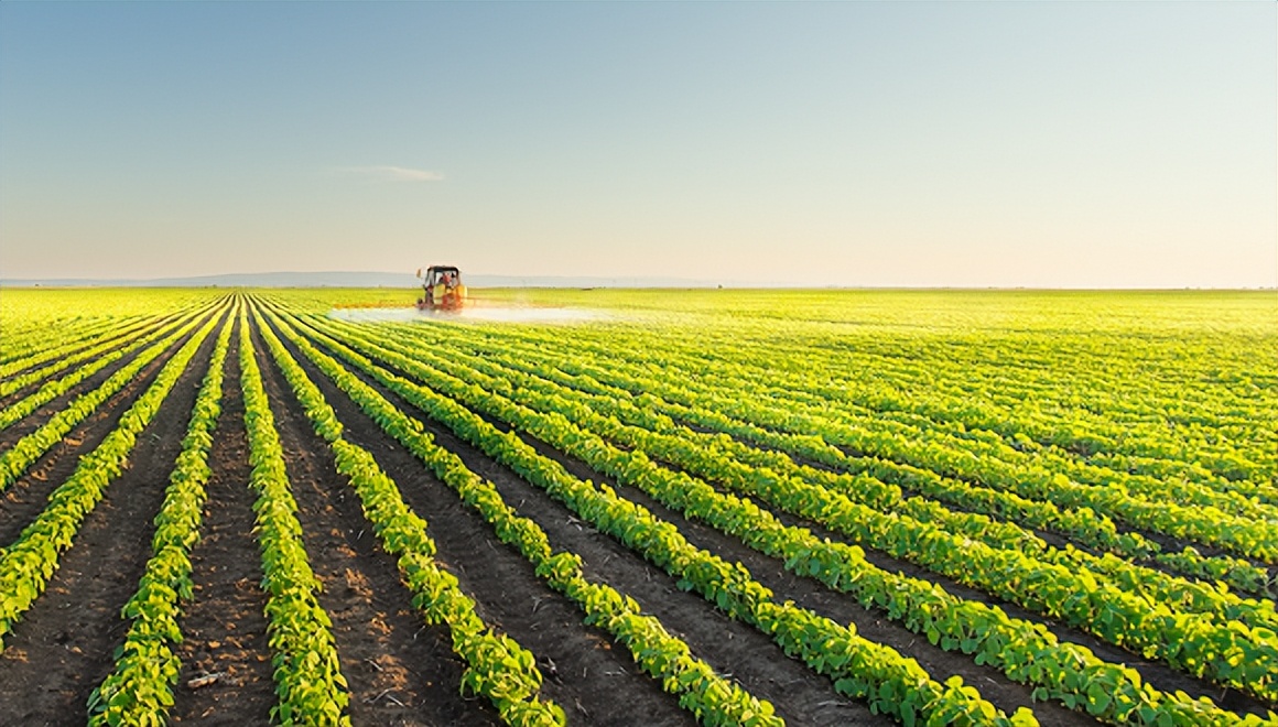 草甘膦概念股强势,草甘膦概念股或延续调整