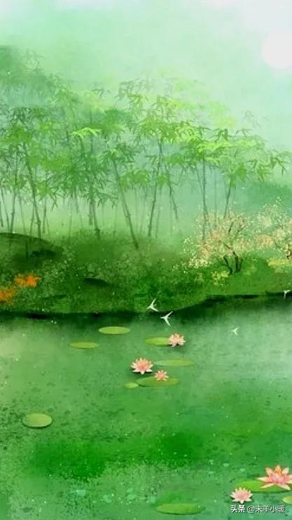 超清超美独一无二手机壁纸图片,养眼养心的壁纸