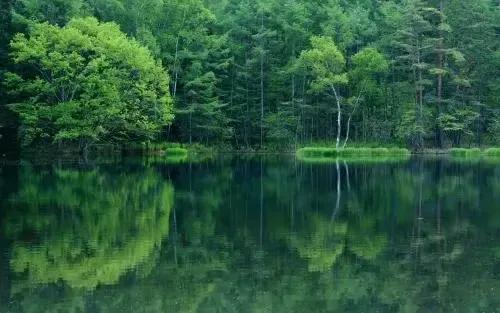 2022年壬寅年带有天干地支的日历,农历2022年十月初一壬寅虎年