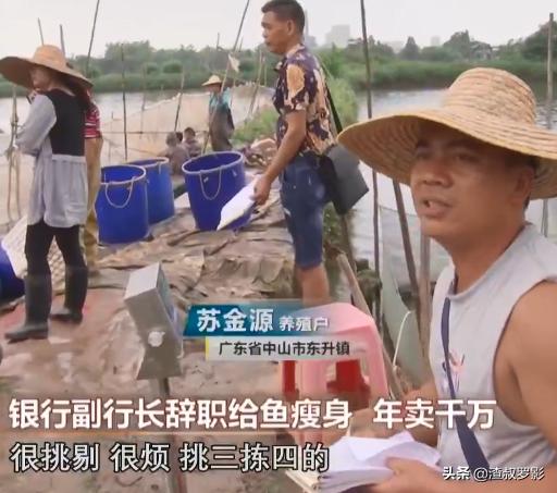 银行副行长辞职赚钱,中国银行副行长辞职