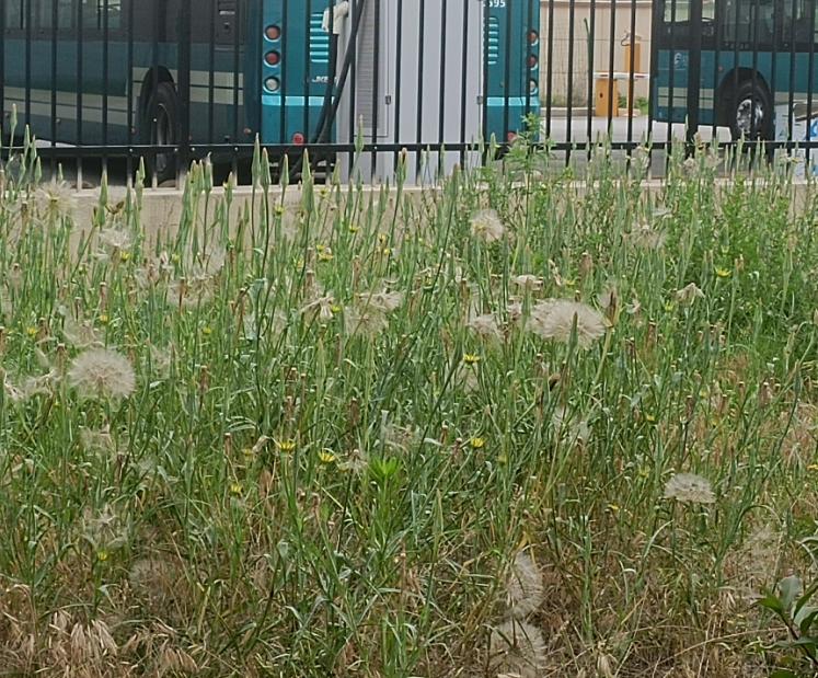 2023济南中考总结,2023年济南市中考排名