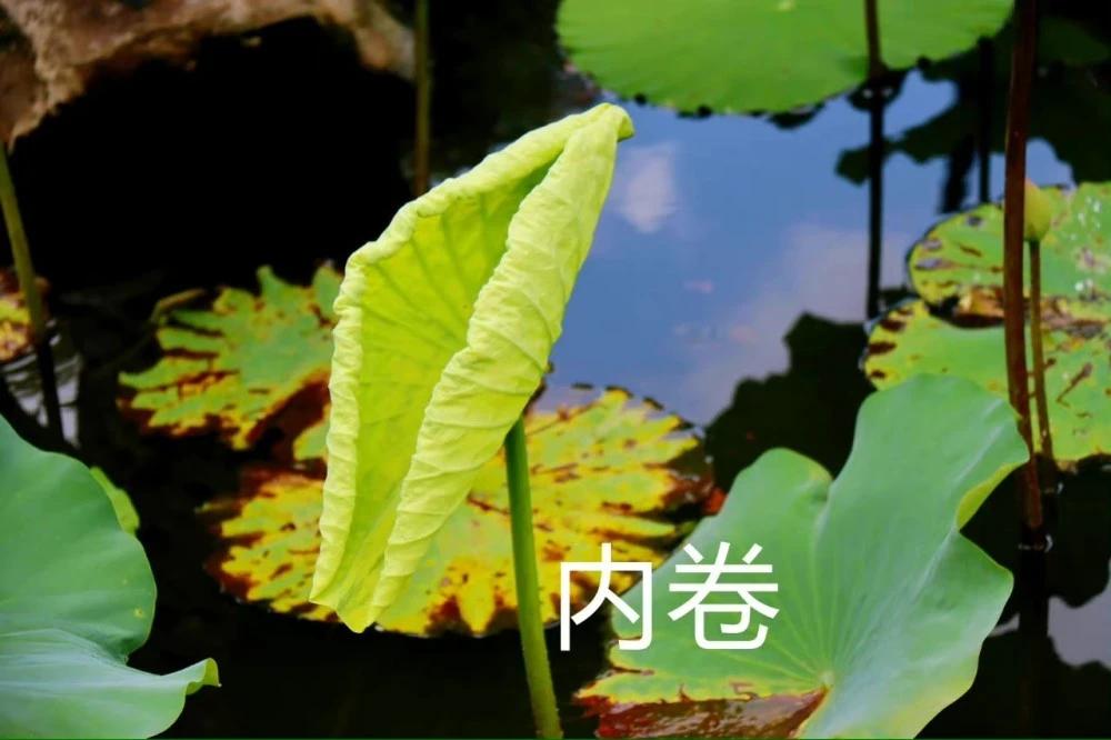 每一个花花公子，都会变成南极人