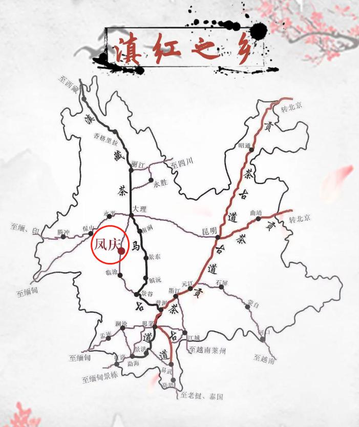 凤庆县经典滇红茶,高山滇红一级凤庆红茶250g多少钱