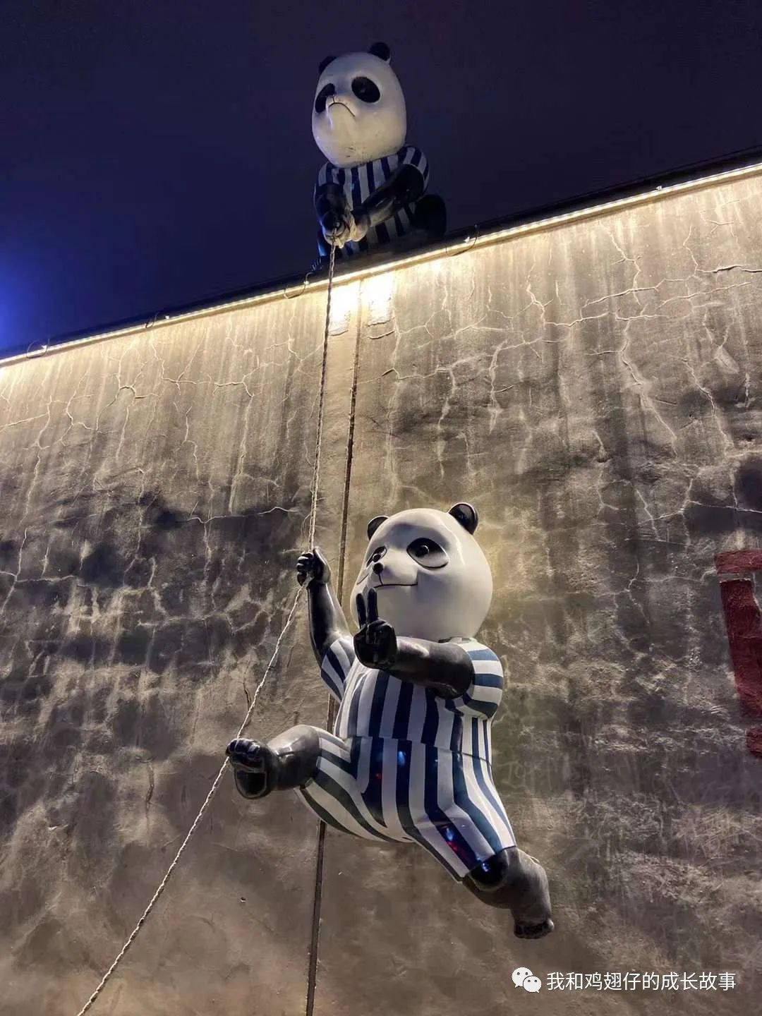 爱美丽推荐城市公园打卡第89-合肥游玩，必去10大经典打卡地推荐