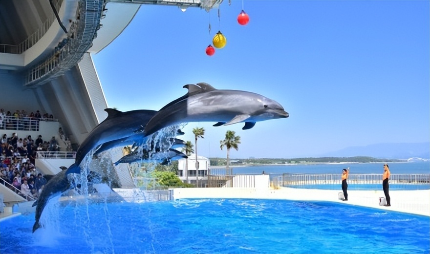 日本福冈具有发展潜力吗,日本的福冈和大阪哪个发达