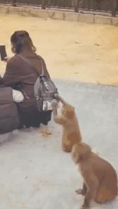 每日一笑游泳教学视频,每日一笑钓鱼片段