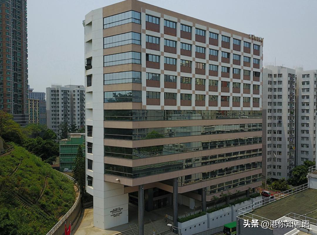 开坑《法证5》前，一定要理清这些人物关系