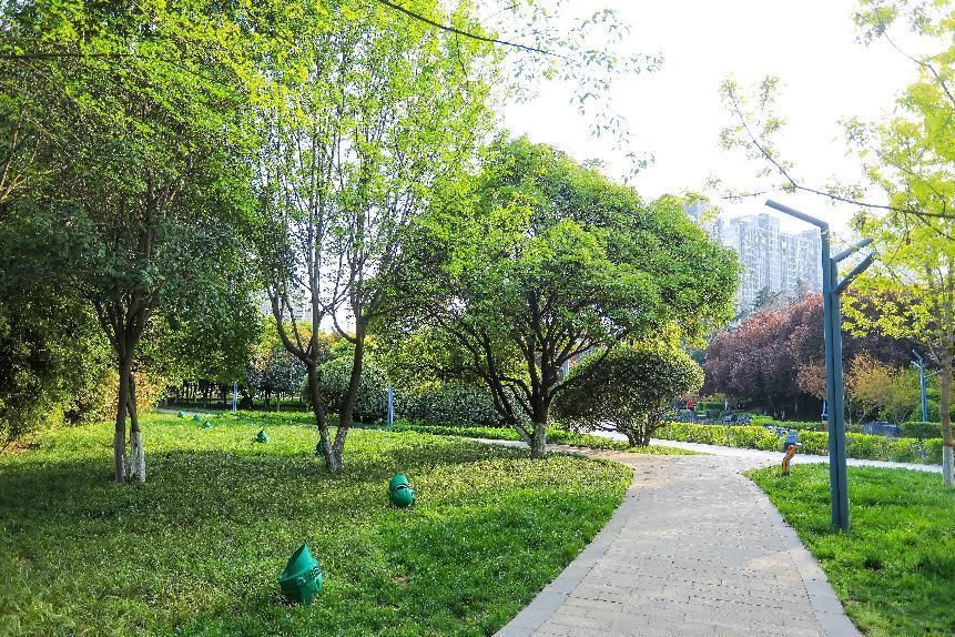 唐城墙遗址公园有跑道吗,西安唐城墙遗址公园跑步