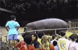 女朋友说她不能穿比较紧的衣服，我瞬间就懂了，效果原来是这样的