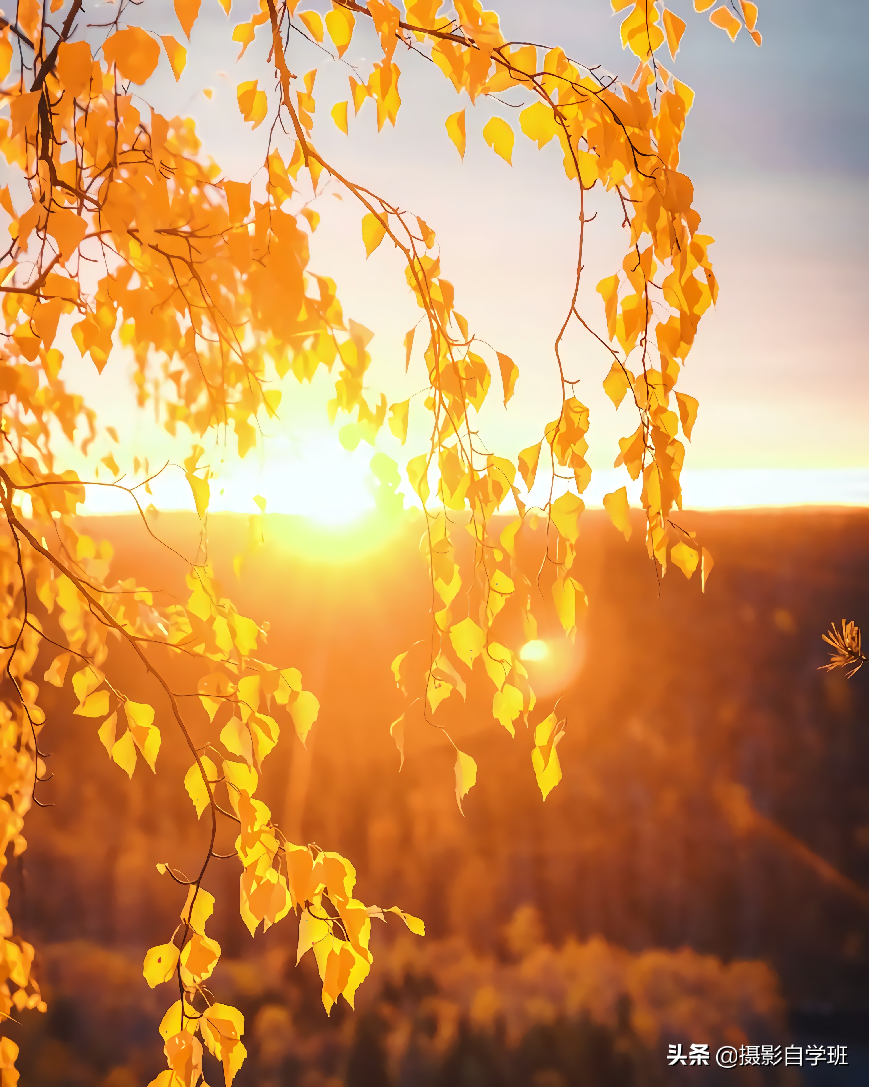 普通人学摄影的真实感受,普通人学摄影一个月
