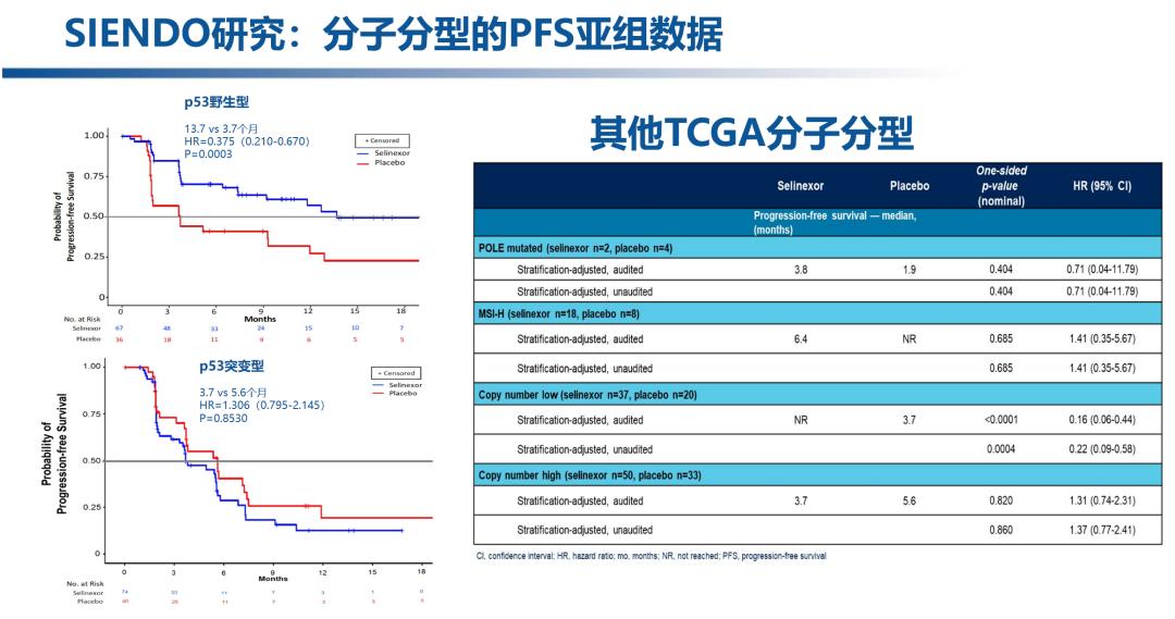 王登凤教授张国楠教授：2022年复发/转移性子宫内膜癌的研究进展