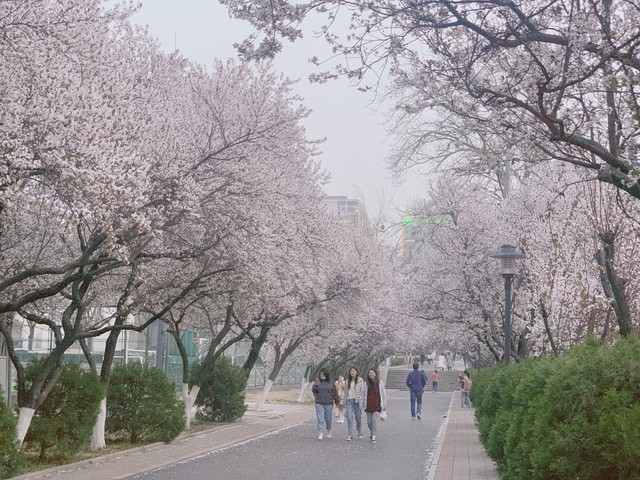 大学生在济南的普遍工资,在济南月薪6千什么水平