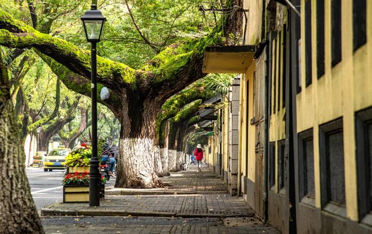 图集丨新“金陵48景”之二十一:颐和公馆