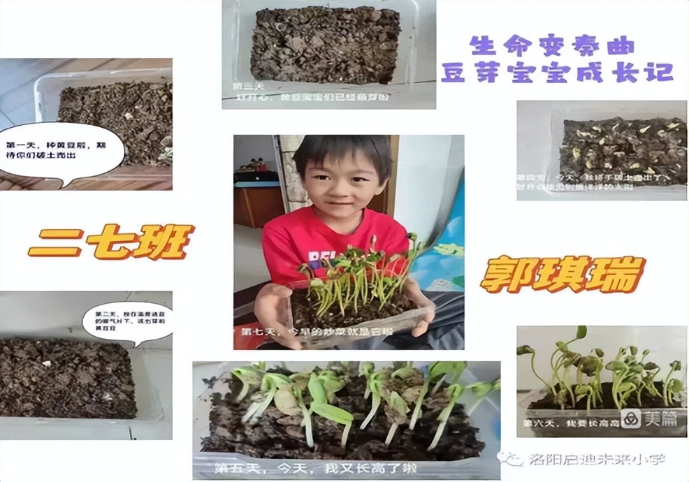 洛龙区未来小学“线上教学”经验分享（二十四）