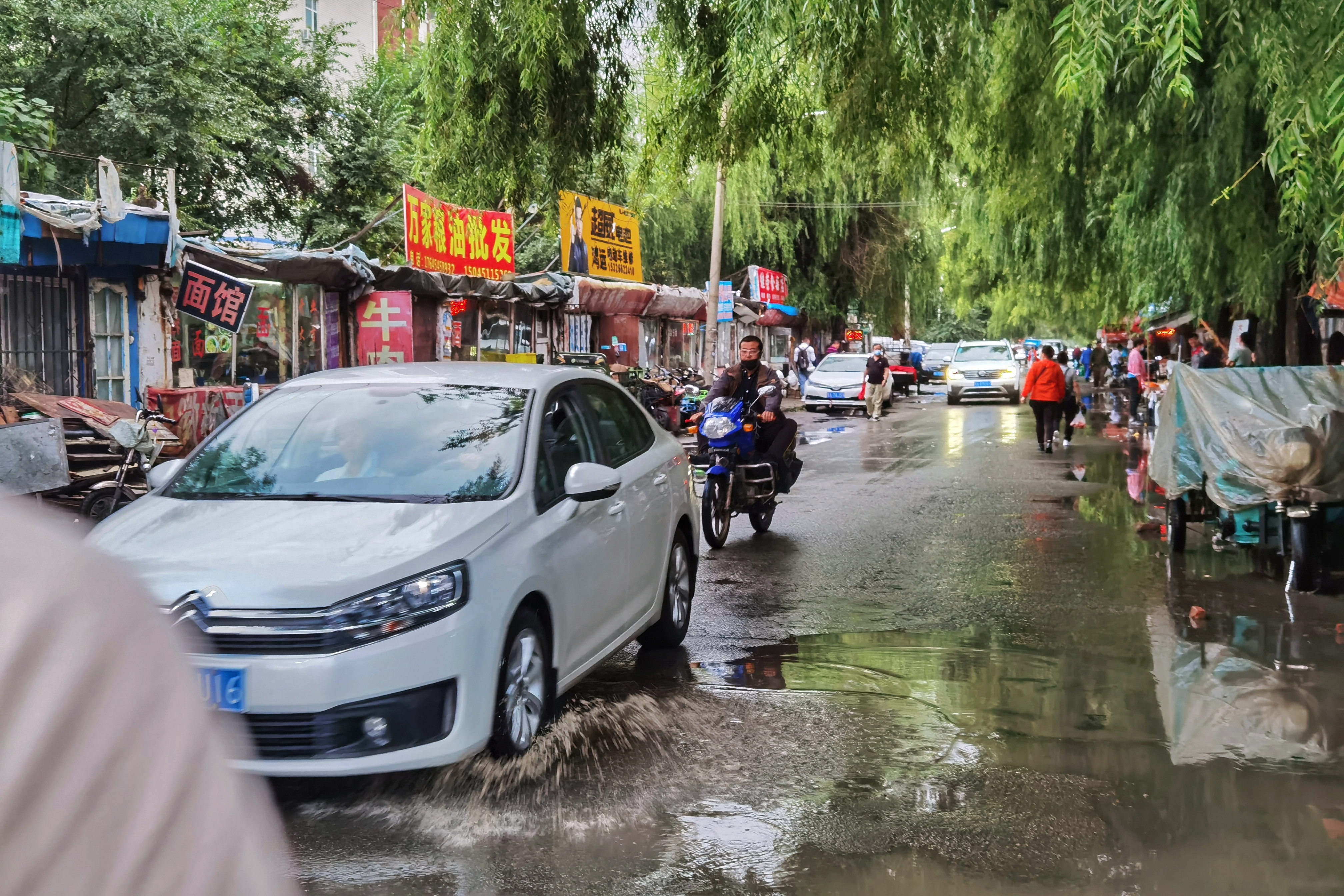 东方小巴黎美丽的哈尔滨,东方的小巴黎美丽的哈尔滨
