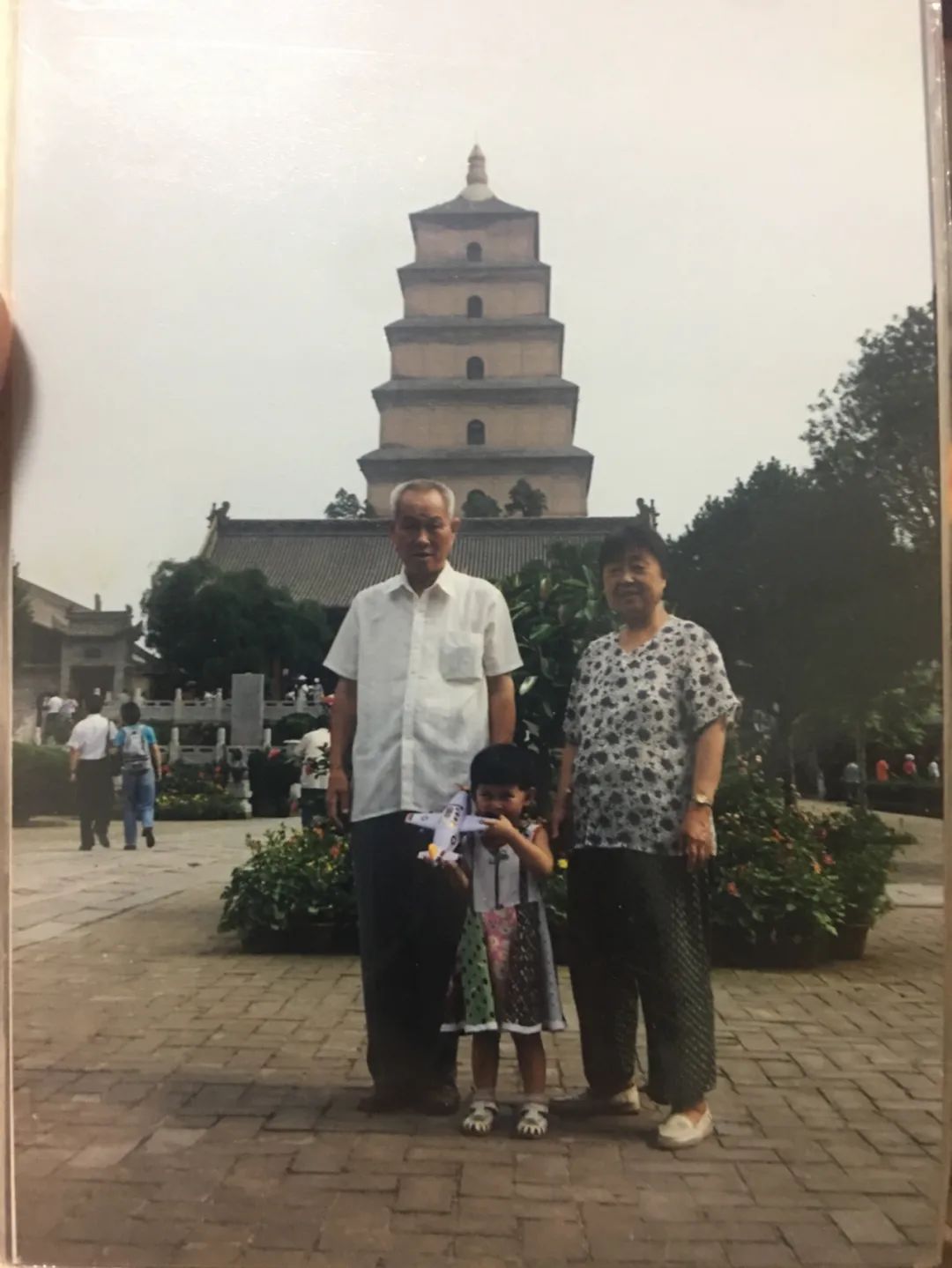 被拐卖的奶奶22年,被拐卖的奶奶后续