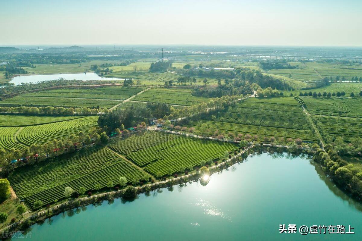 未来十年四个黄金赛道,未来十年最有可能发财的赛道