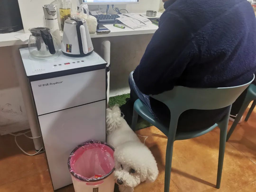 世界杯小伙子买彩票,世界杯彩票大爷