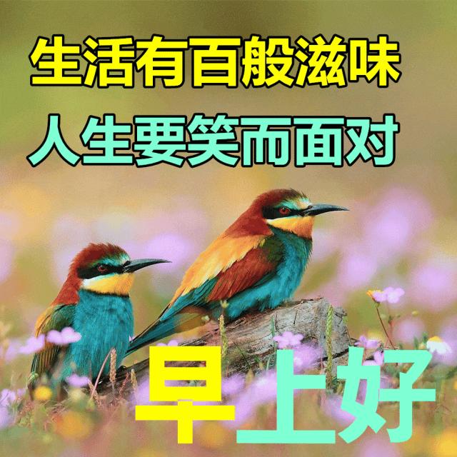 早安经典语录图文,新的一周早安正能量句子图文