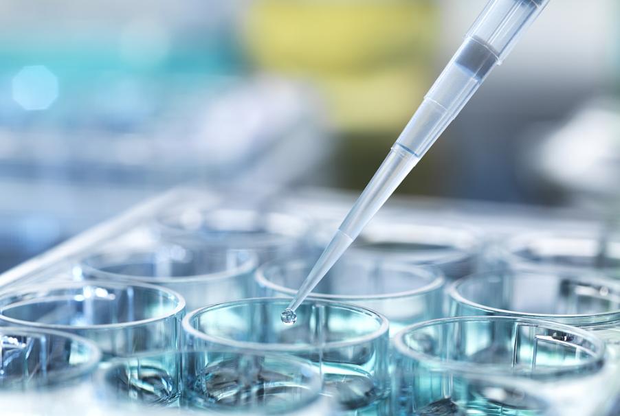 日本人兽杂交实验被允许，这是否违背伦理常纲？是创新还是灾难？