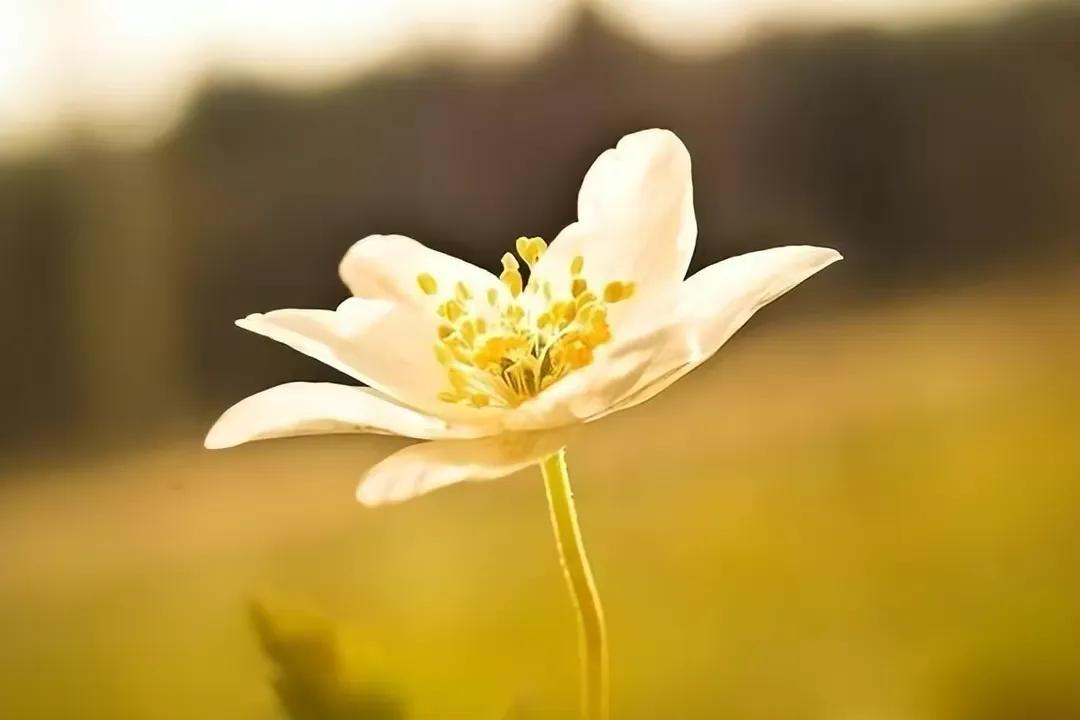 被老公指责没带好孩子搬出去,被老公责怪孩子带不好