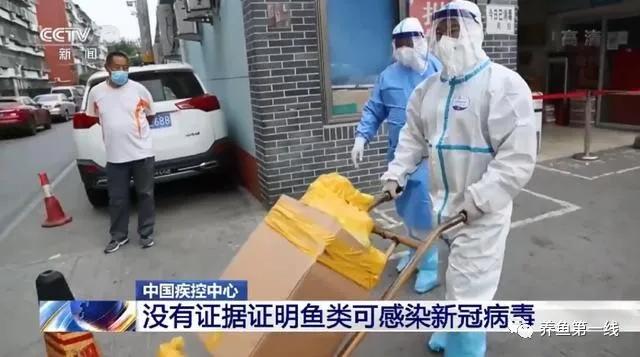 鱼类红嘴病图片,鱼烂嘴病的治疗方法