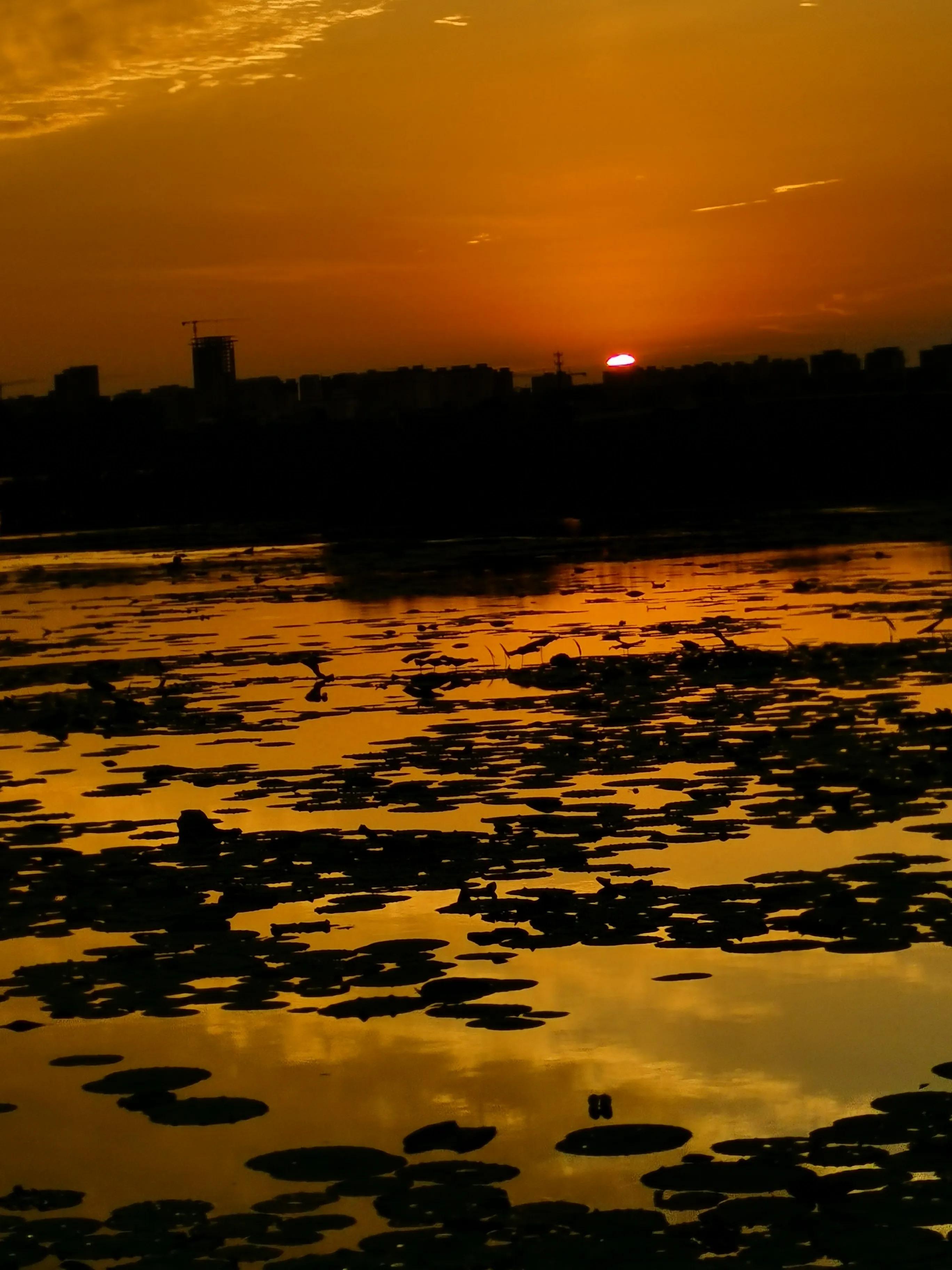 周口教育学院05年院长,周口教育学院简介