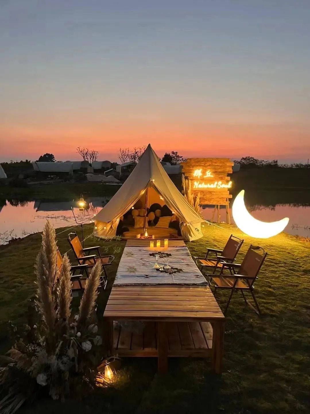 空港花田怎么免费开放,空港花田最新信息