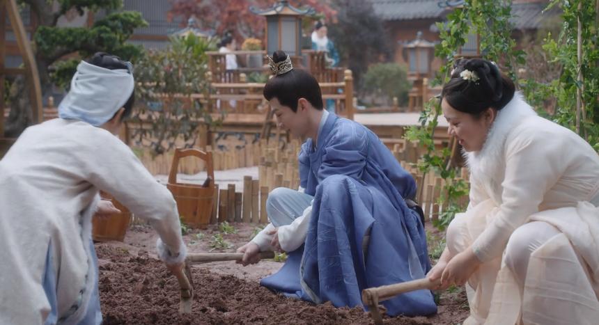 《卿卿日常》热度“高开疯走”，我真是要被弹幕上的网友笑死了