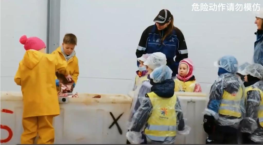 这就是挪威人的童年：10岁就可以靠自己买游艇，中国小孩羡慕哭了