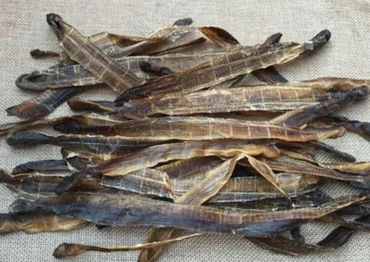 电蚯蚓危害真实案例,电蚯蚓出事故