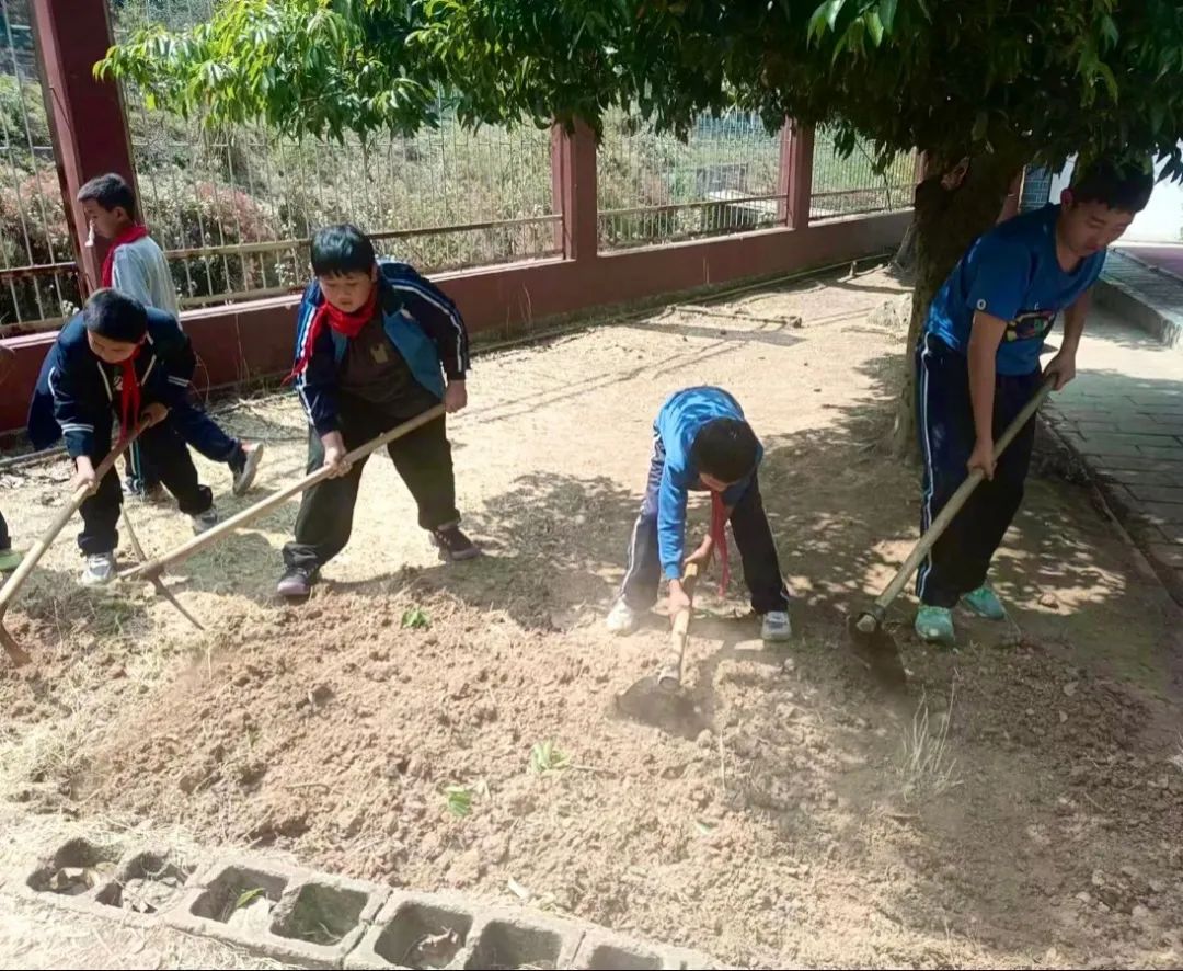 绿美太邑蔬香校园